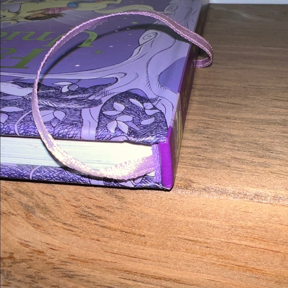 ๐๏ธ 3 for $20 ๐๏ธ - EUC - Fairy Unicorns Magic Forest Book - Picture 15 of 16